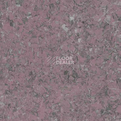 Линолеум Tarkett iq Megalit GRAPHITE PURPLE 0622 фото 1 | FLOORDEALER